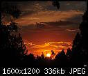 Backyard sunset  Anaheim Hills 020-backyard-sunset-anaheim-hills-020.jpg