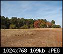 Drought in GA of USA &amp; fall colors... IMG_2382 (Large).JPG [4/4]-img_2395-large-.jpg