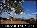 Just a few Clouds-5-20-2008-front-yard.jpg